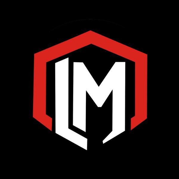 Liam Motors logo